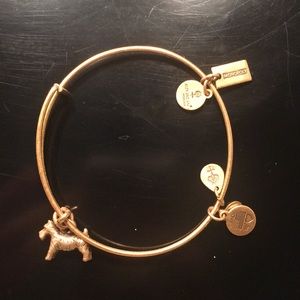 Alex and Ani dog bracelet